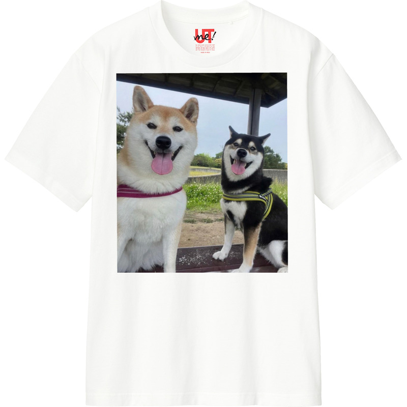 0f4dbe37 2d88 4231 bc48 7ba8d3bc6c1c 110 print ll