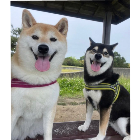 0f4dbe37 2d88 4231 bc48 7ba8d3bc6c1c s