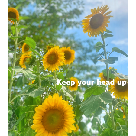 112dfb05 022f 4c65 8229 e9891b8c15d1 s