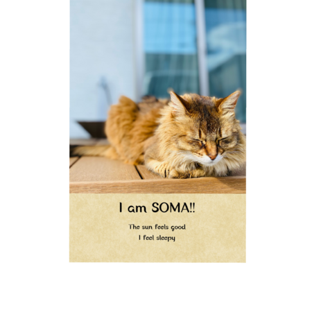 868498ca ce5d 4480 b919 387d42adcf7d s