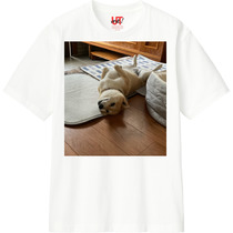 6d735eee b544 462d b92e 7edd07a97acb 110 print s