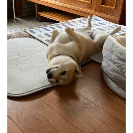 6d735eee b544 462d b92e 7edd07a97acb s