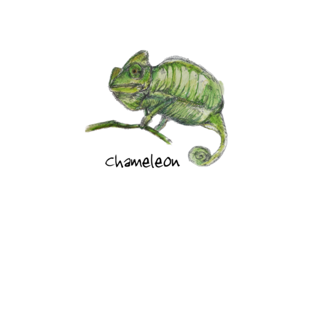 C16e023d b8ee 4223 b9f9 03132cf9ea11 s