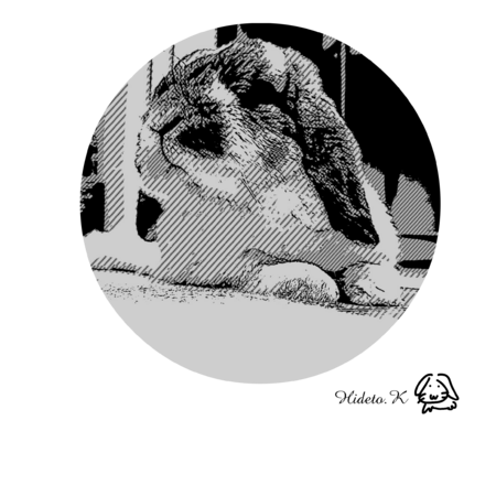 50e8226b f716 4de8 bfbf 901893975bed s