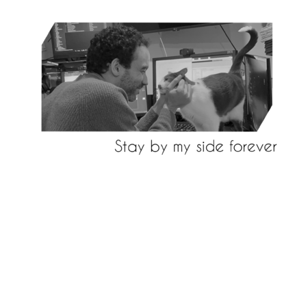 33662190 ec08 4375 9539 ffd3c887f3c6 s