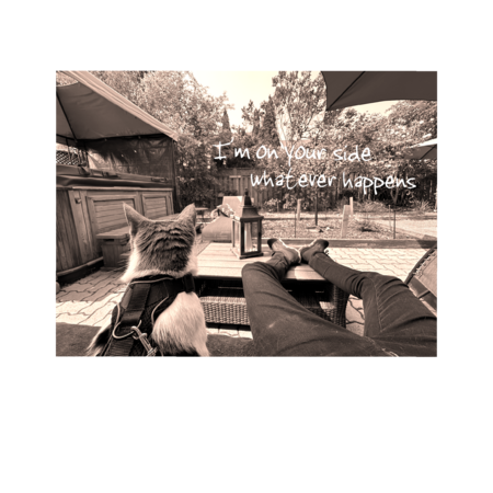 124bc536 240e 4ce7 8c28 48d73985a97f s