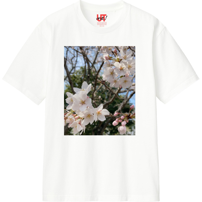 A69aa1ef bc47 4a4f 87d4 440ba91a5bf3 110 print ll