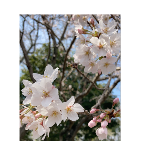 A69aa1ef bc47 4a4f 87d4 440ba91a5bf3 s