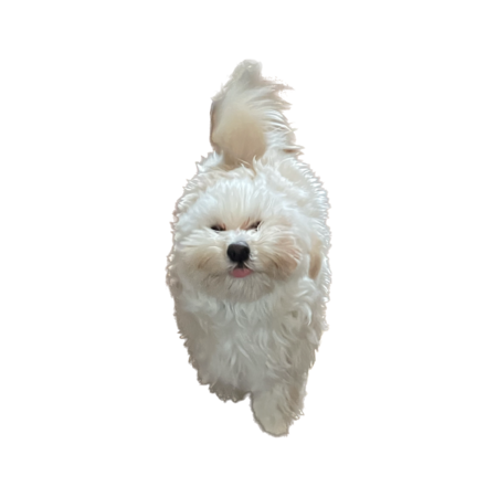 85f7d5b3 a4cb 4e25 bf99 1e95cea22bea s