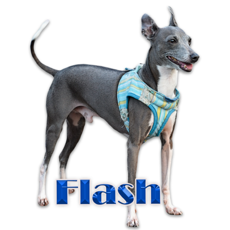 26ad7d92 58aa 48a5 b880 958a5d7d070f s