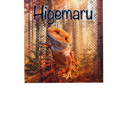 5041e542 5946 426c 9833 a171e3c45098 s