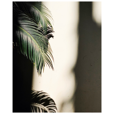 8c8d5ce5 40ae 4de4 bdae eca0e64cb974 s