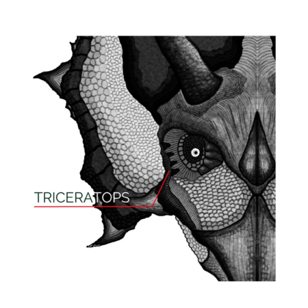 E8b27b7c e3a5 4faa 818e 56b583e0bff1 s