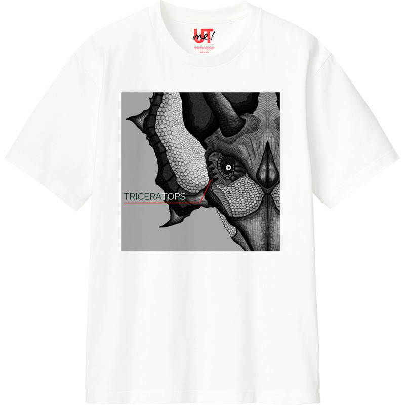 36f3e43c 37d3 44b5 b80e b707f02551d9 110 print ll