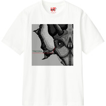 36f3e43c 37d3 44b5 b80e b707f02551d9 110 print s