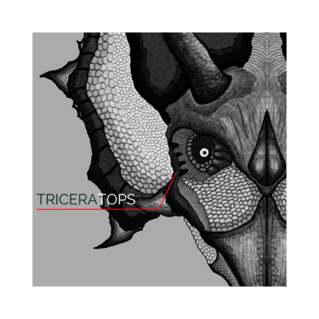 36f3e43c 37d3 44b5 b80e b707f02551d9 s