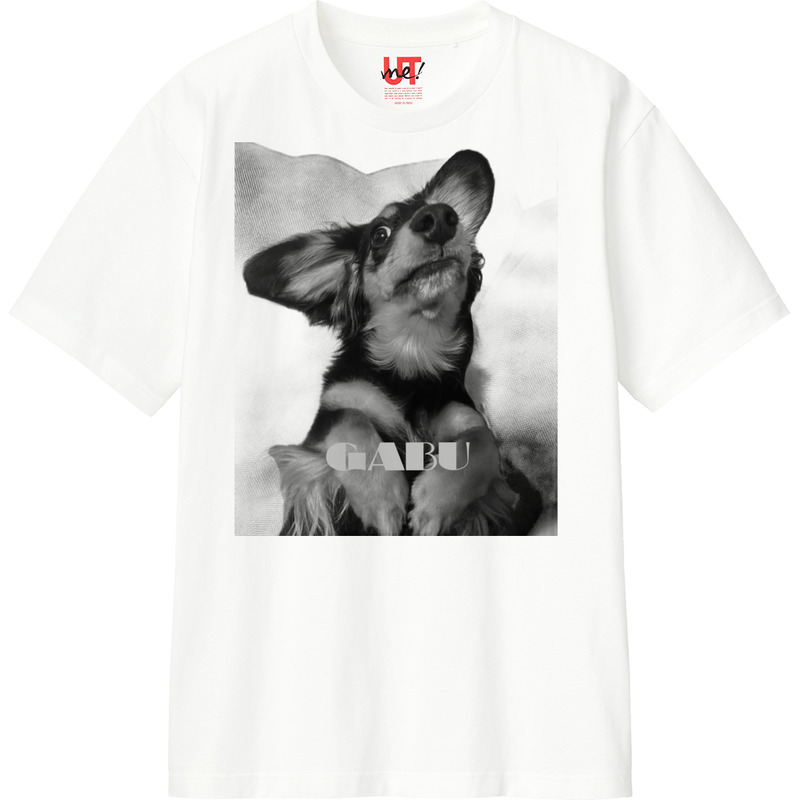 616c4d79 f26c 45d0 bcbc 90ab4af8b403 110 print ll