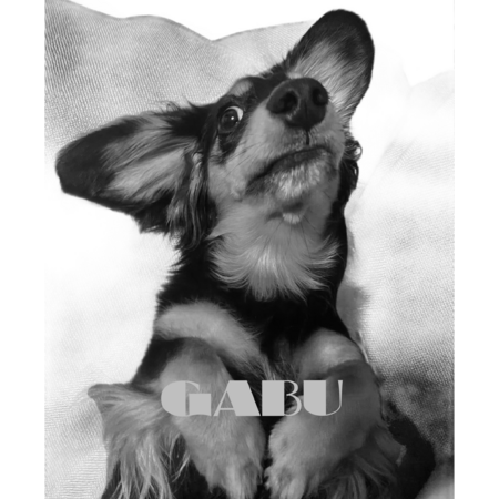 616c4d79 f26c 45d0 bcbc 90ab4af8b403 s