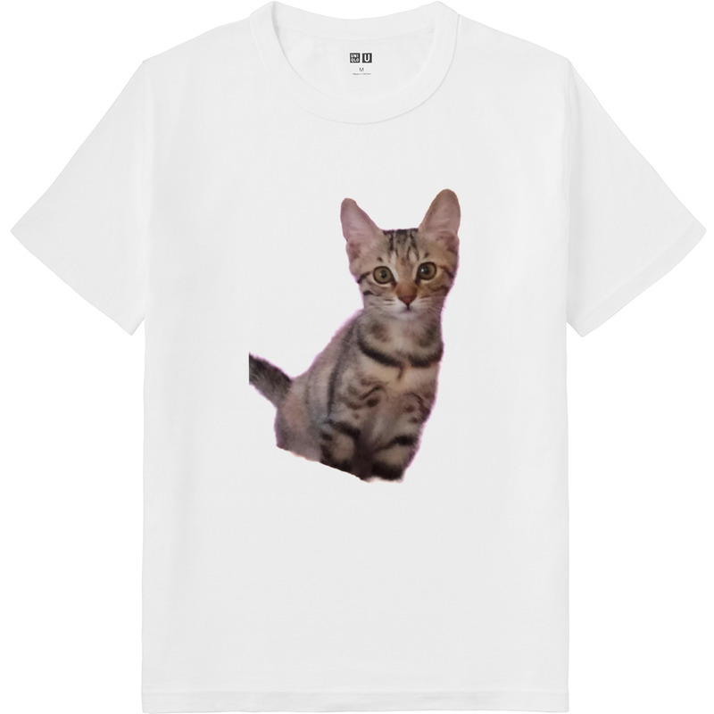 D88eb0a6 f355 41b8 872a 3b2bdc02adf7 64 print ll