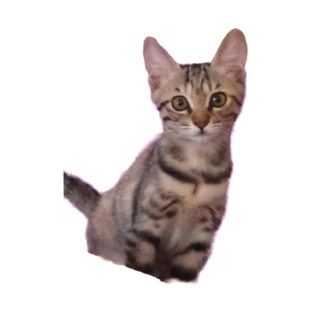 D88eb0a6 f355 41b8 872a 3b2bdc02adf7 s