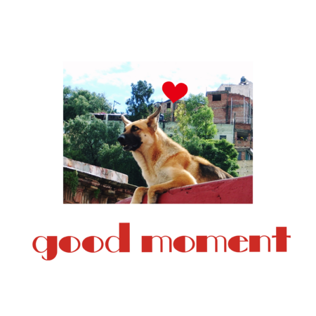 2e8b403a 43cf 4a1a 9d81 321539246bdf s