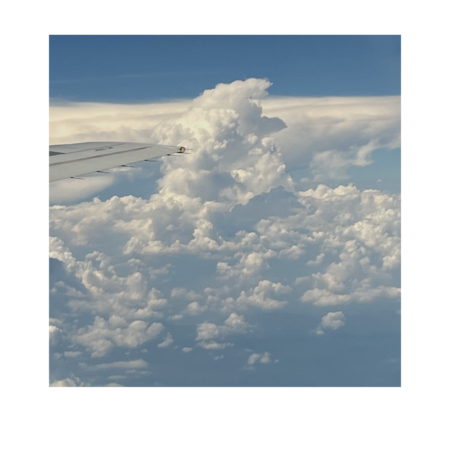 E3c1dcb5 6be2 4b28 929b 1210297143cf s