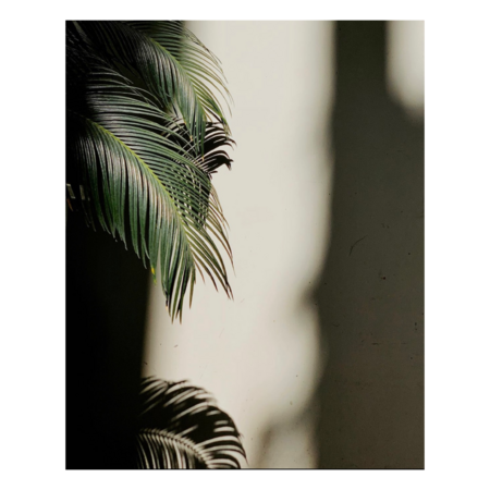 5d5fe599 f343 44e1 a464 295660d75d8a s