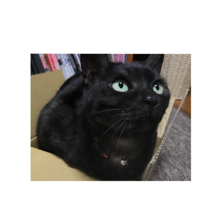 7aadebe1 6dda 4322 9896 2a5677c15293 s