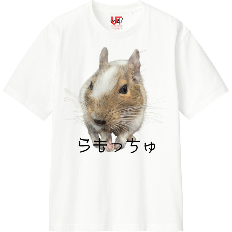 D46725ec 30d5 4874 87e9 0c4e7fc6447c 110 print ll