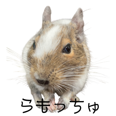 D46725ec 30d5 4874 87e9 0c4e7fc6447c s