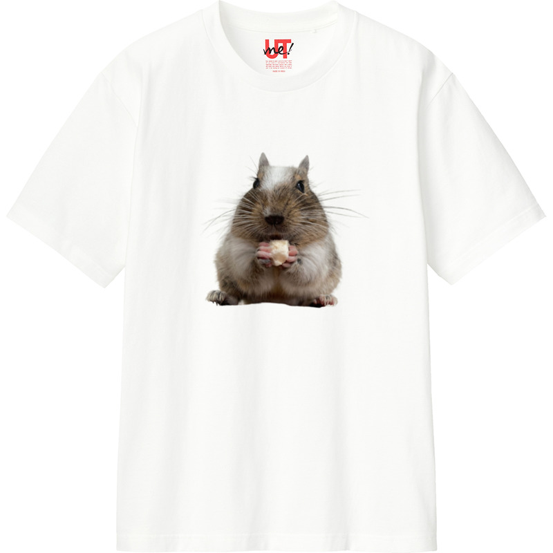 7283b46a f4fa 49db 9c82 6979191cb942 110 print ll