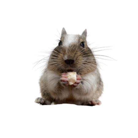 7283b46a f4fa 49db 9c82 6979191cb942 s