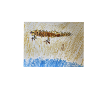 66905469 8f66 474f 91ee 0dc3c3377e8c s