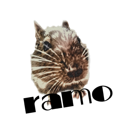 1af7a9c9 ea3b 4757 9583 4c46e995378c s