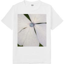 3bcf5745 5259 4388 b9d1 560a70ad9dfd 64 print s