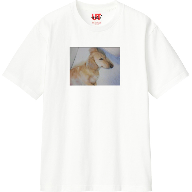 3165850d 9305 4dd9 814f 1e830f985f41 110 print ll