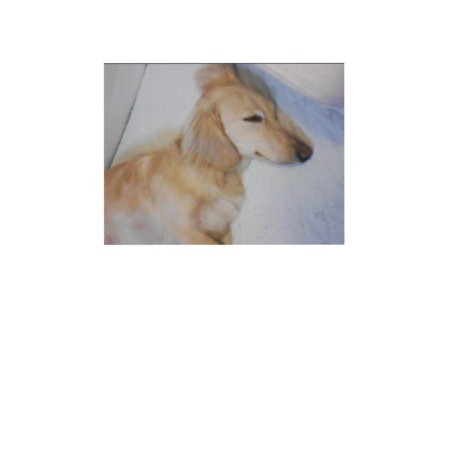 3165850d 9305 4dd9 814f 1e830f985f41 s