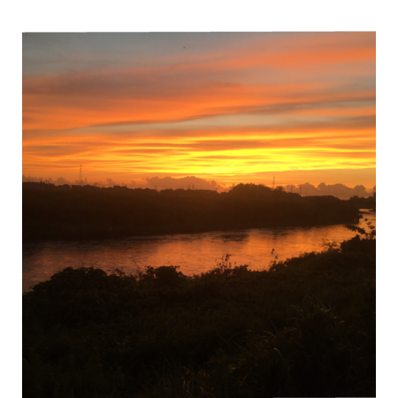 4130ca8d 2989 4bb1 af63 337a65267a5f s