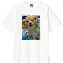 8293e548 12c7 4f08 ae04 d0d4368db7e0 110 print s