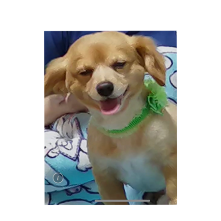 8293e548 12c7 4f08 ae04 d0d4368db7e0 s