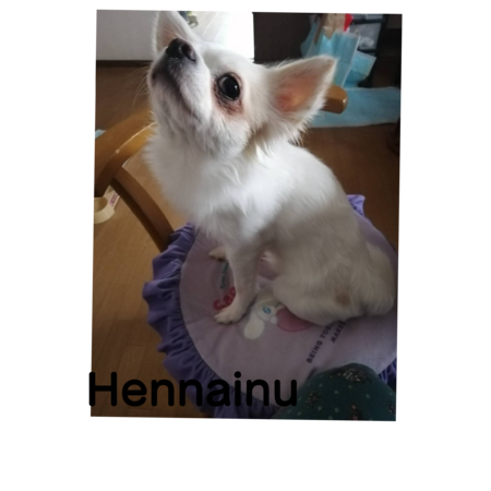 2d2b3ea4 29db 4641 98a2 a78642358698 s