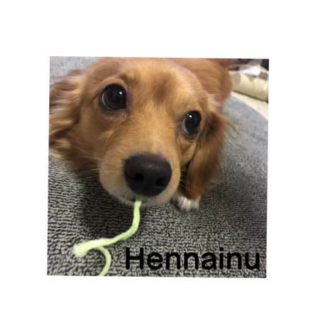 949bd0a4 a840 4138 9440 837237696360 s