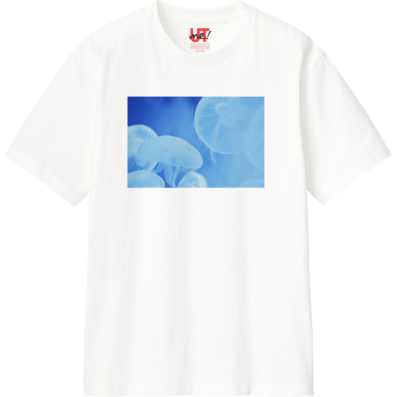 Bbafc889 49d3 42f9 acdb 52c64ac4fc11 110 print ll