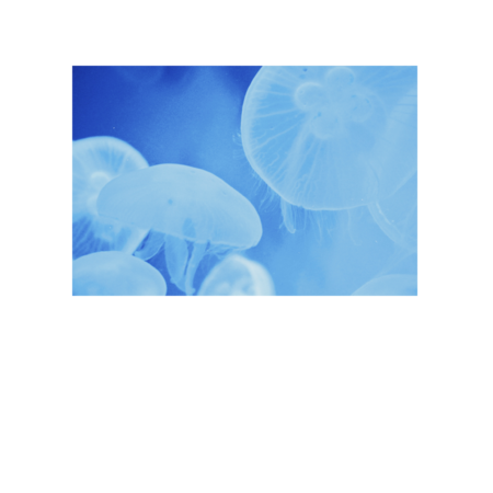 Bbafc889 49d3 42f9 acdb 52c64ac4fc11 s