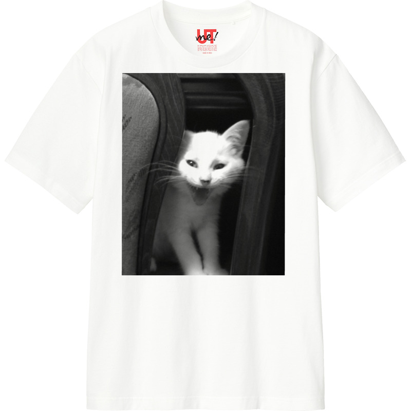 1e077420 1403 4f19 8c0b bf929de3a3e8 110 print ll