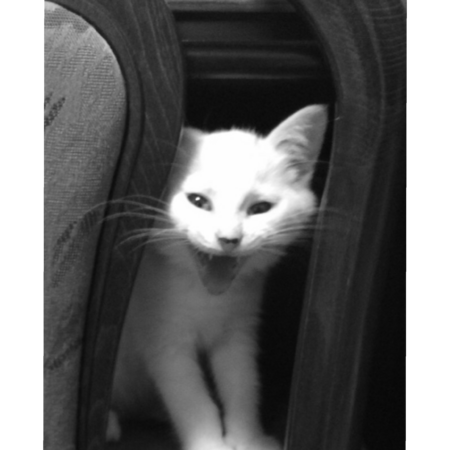 1e077420 1403 4f19 8c0b bf929de3a3e8 s