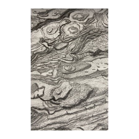 Cf23bb84 015d 43e7 b818 0c922bceb1e2 s