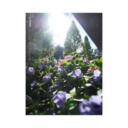 7a4d0db1 224d 49a7 9f03 b6c6aa133514 s