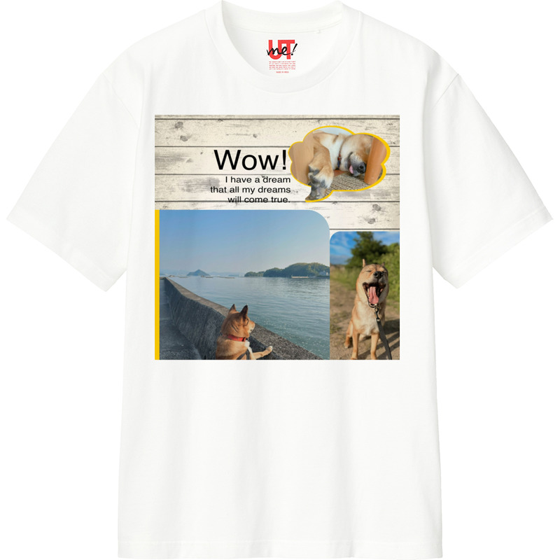 Fcf11ca7 3e5c 4dc3 9bac 4bb081d0b512 110 print ll