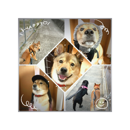 04963064 f93c 4122 828d 7f75a8ab88b3 s